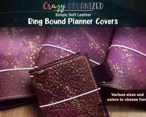 Simply Soft Leather Ring Bound Planner